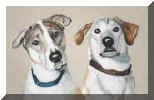 Rathbun Dogs Portrait